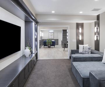 Theatre Media Room Remodeling Ada